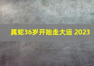 属蛇36岁开始走大运 2023